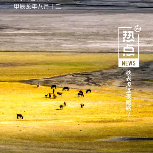 一个微笑
