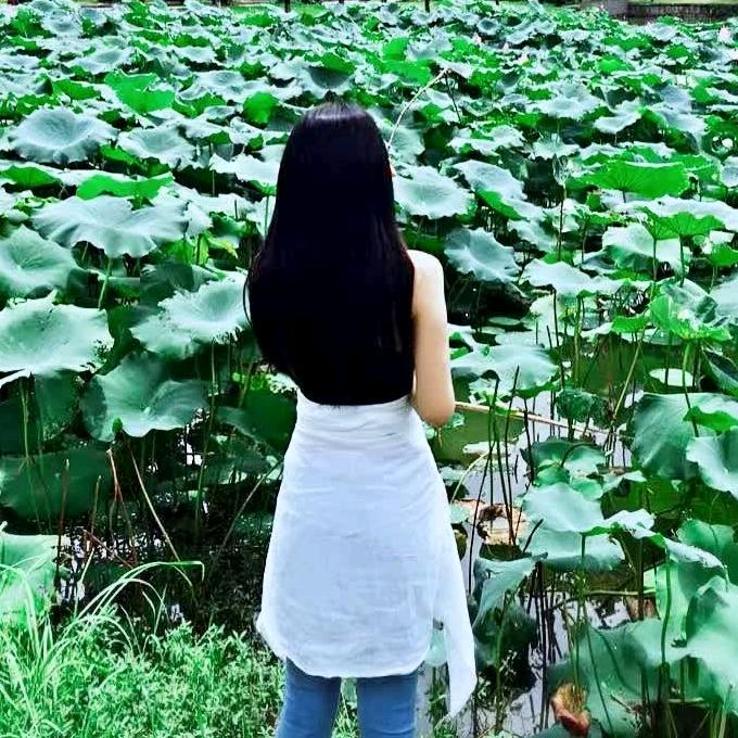 蛋茉儿