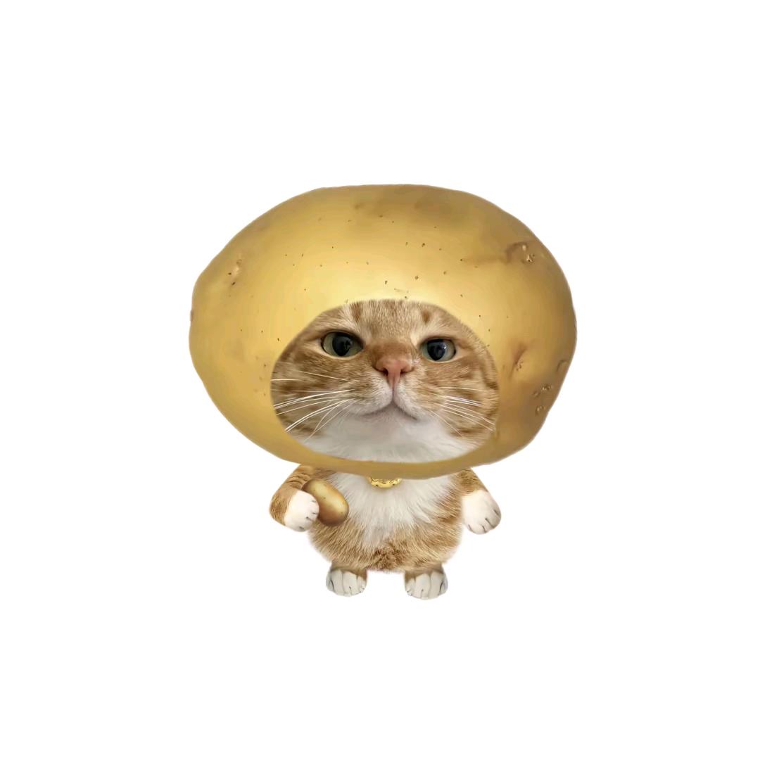 秋北