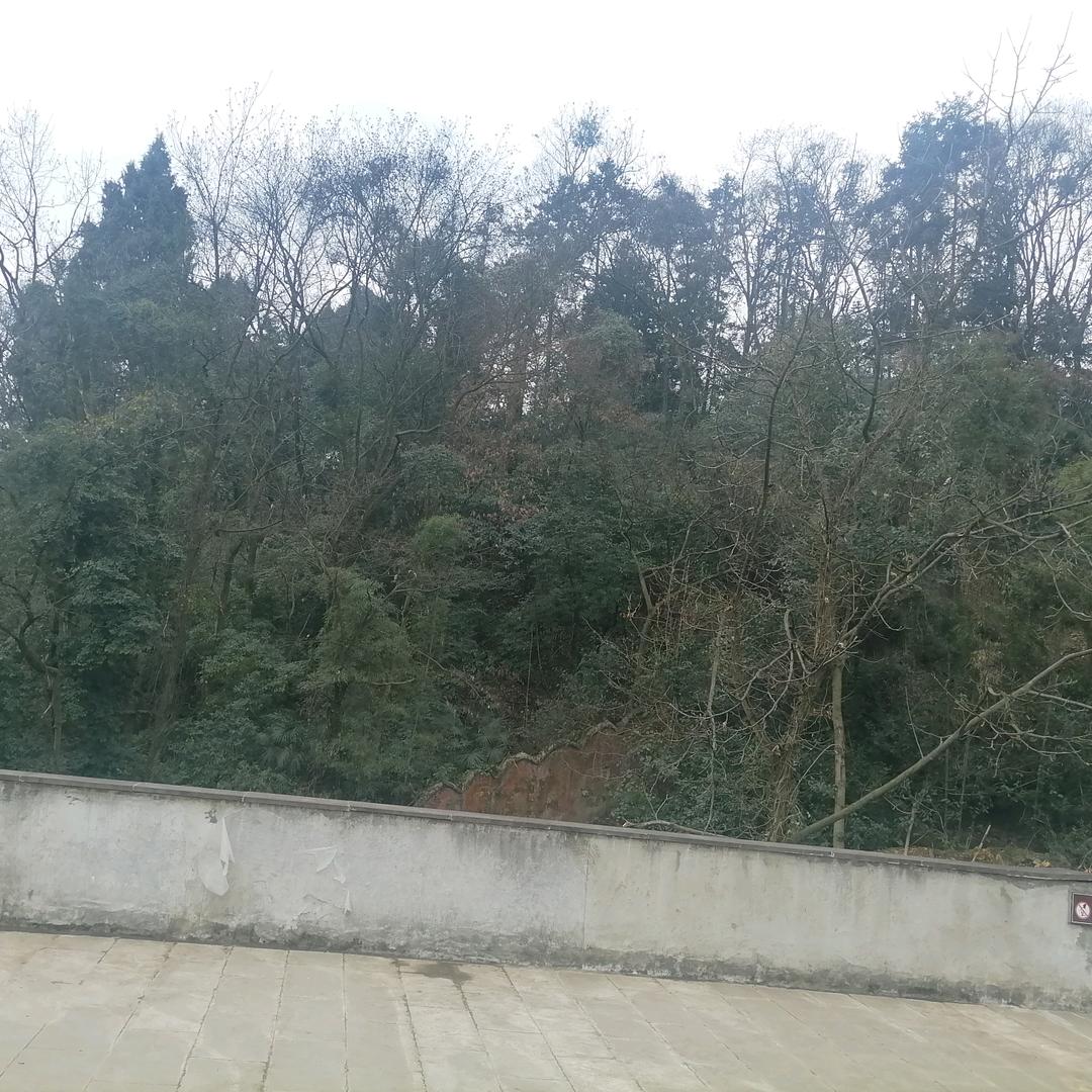东方