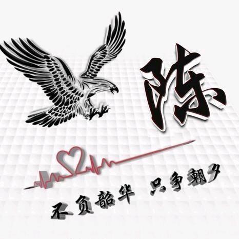 六盘水自动清灰颗粒炉