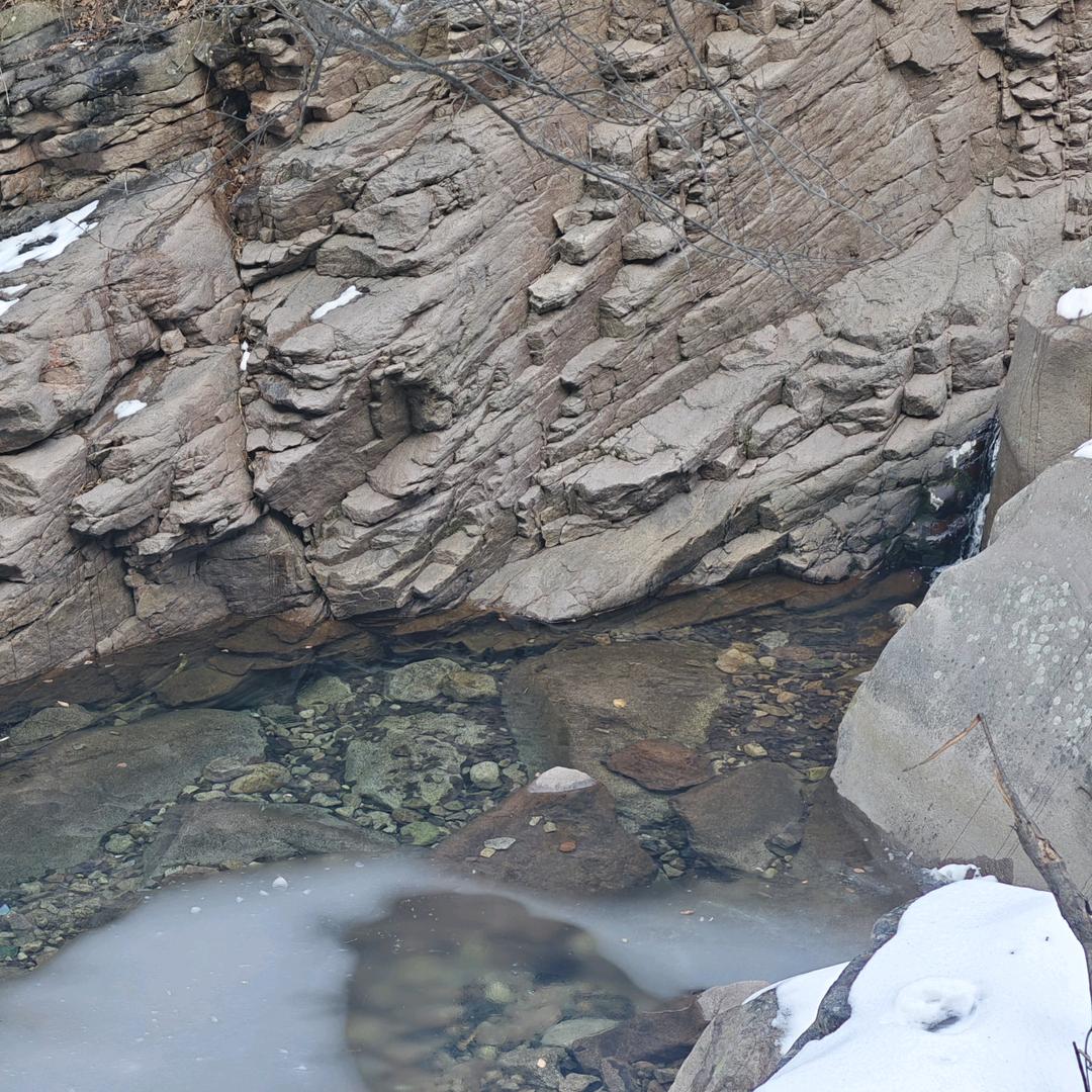 黑门甘露