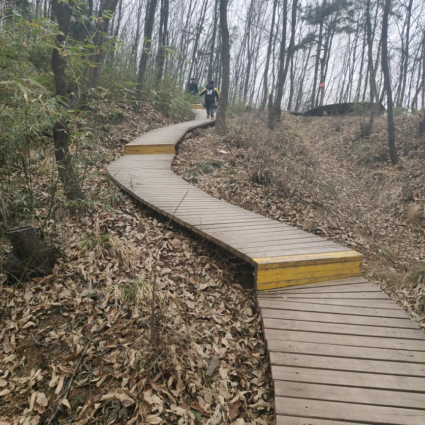 龙行天下，清香猕猴桃种植