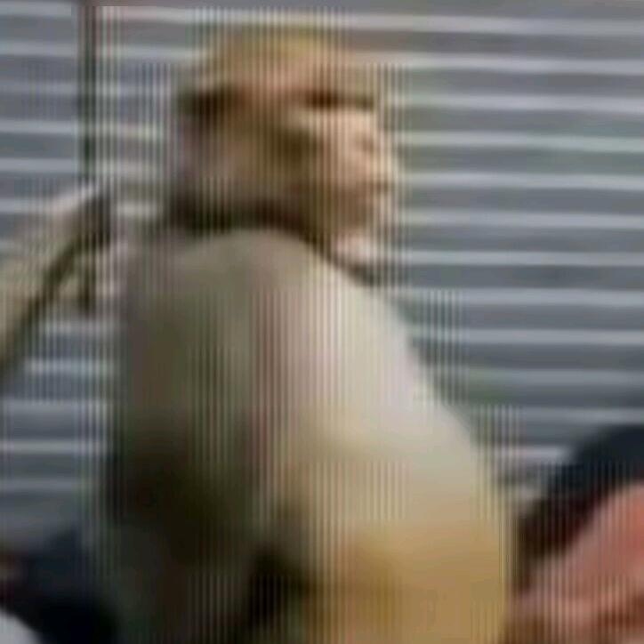 老登