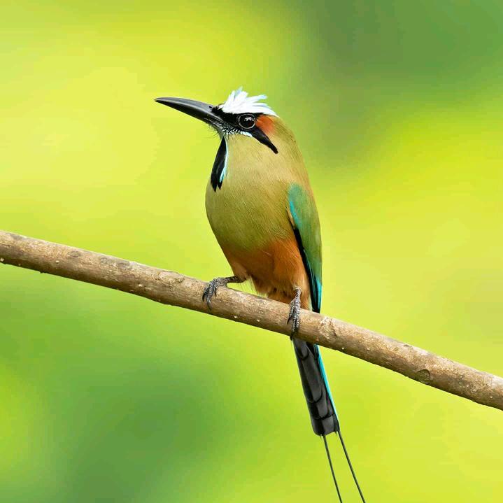 眼睛里都是你¥