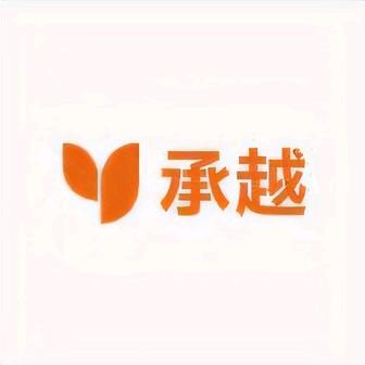 承越大码女装180斤到200斤妈妈装