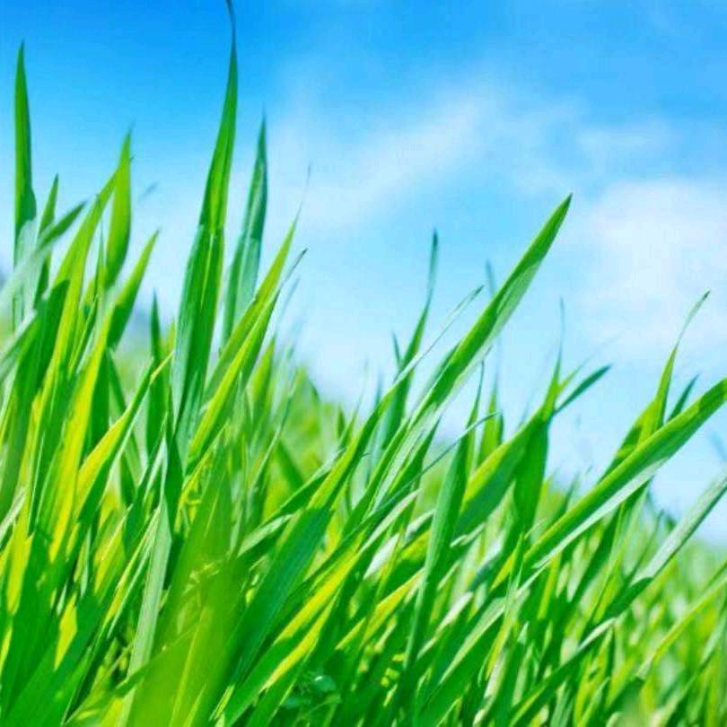 叾屾＜840418＞🐯