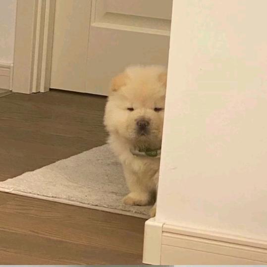 指尖的岁月袅袅