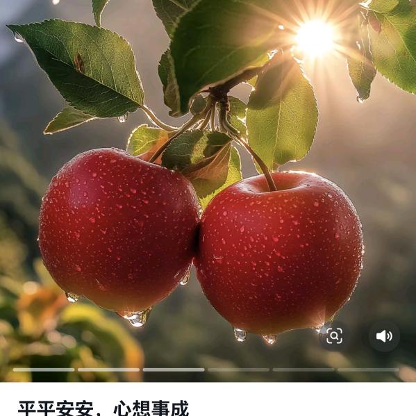 好运🌾🌾🎋满满🌺🌺🌺🌺