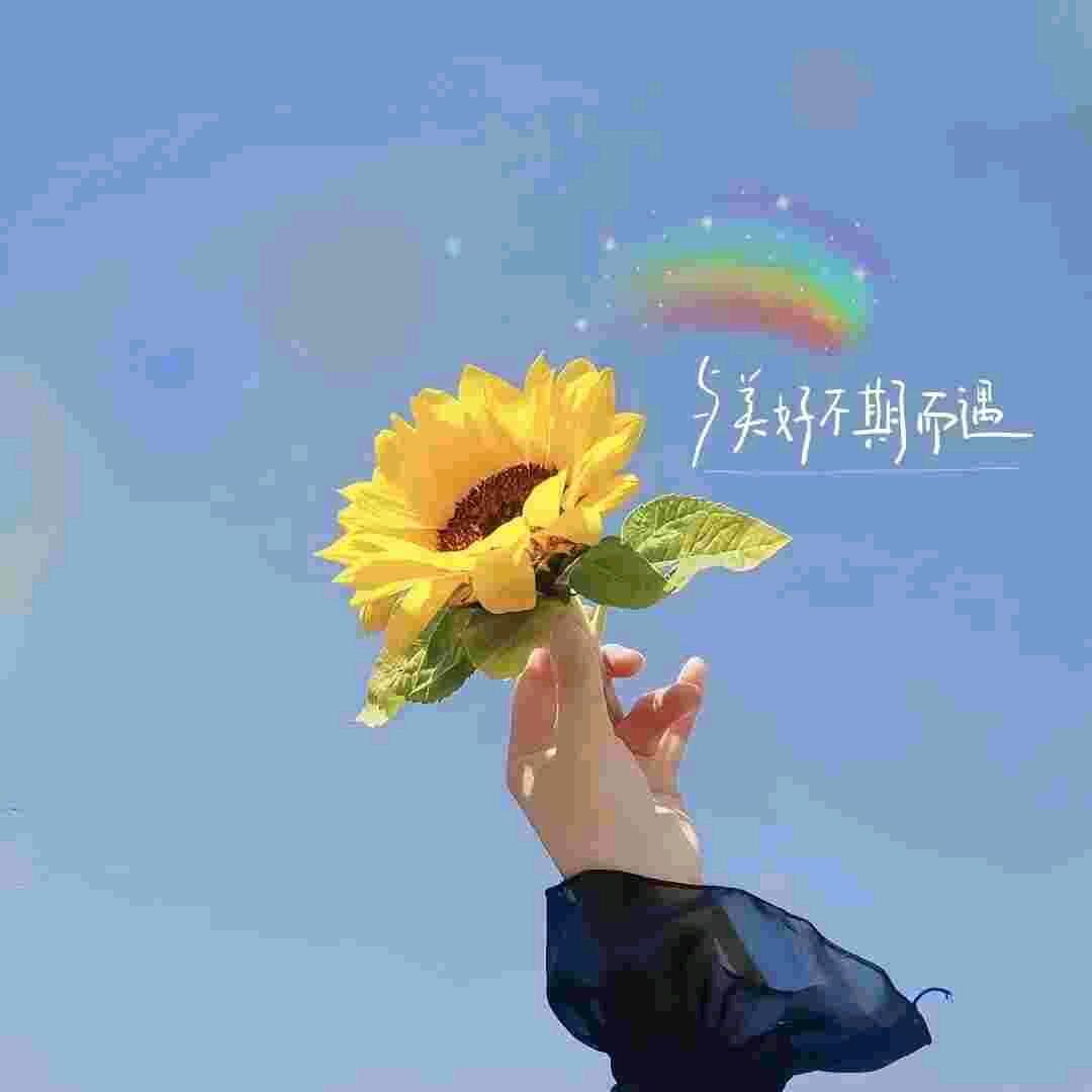 兰#心