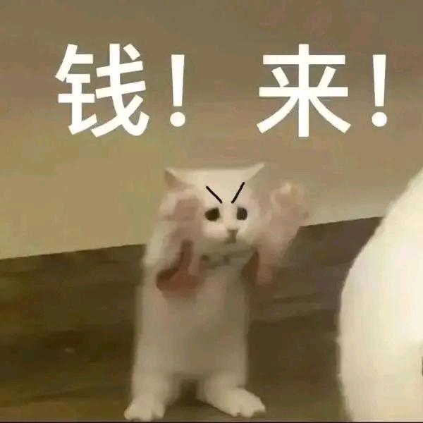 忙到飞起的李生
