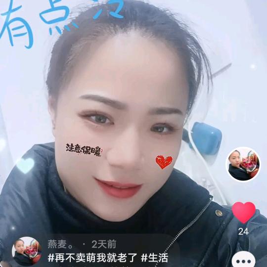 小燕子