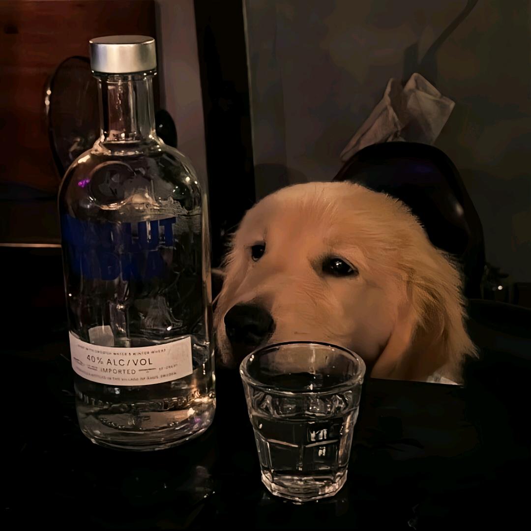小鱼包不月半