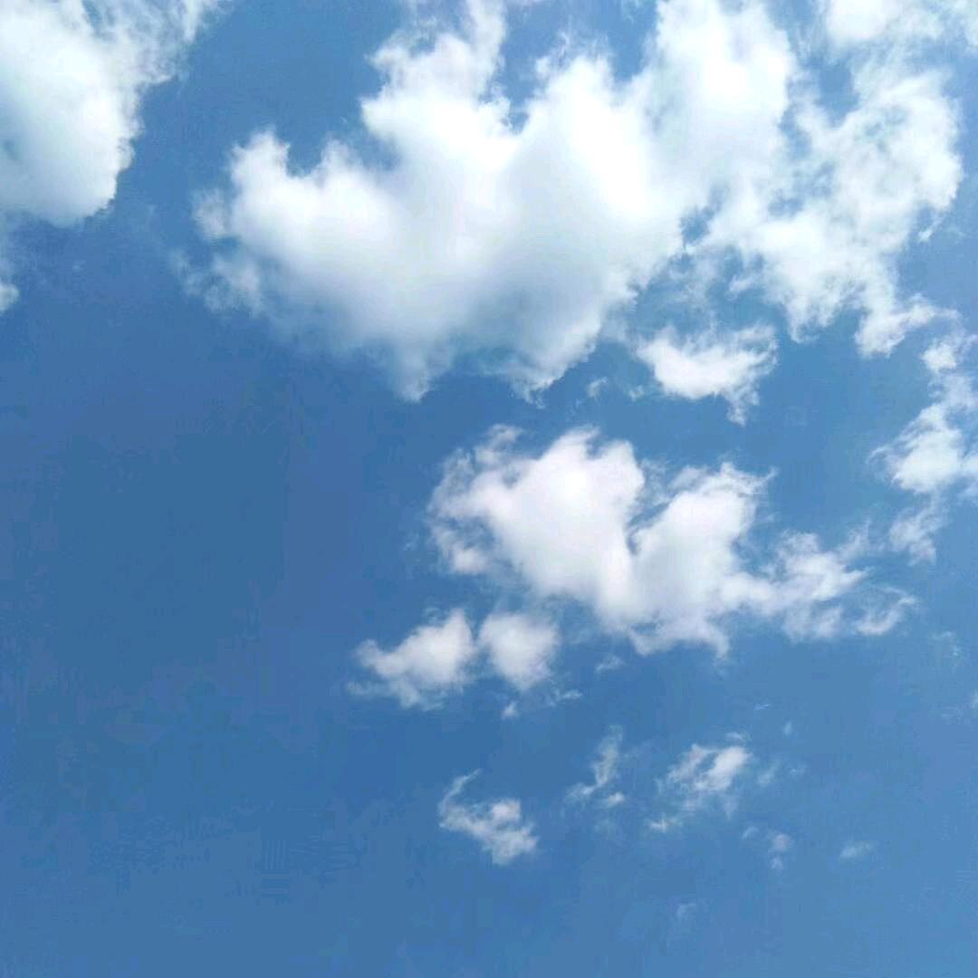互相垂直