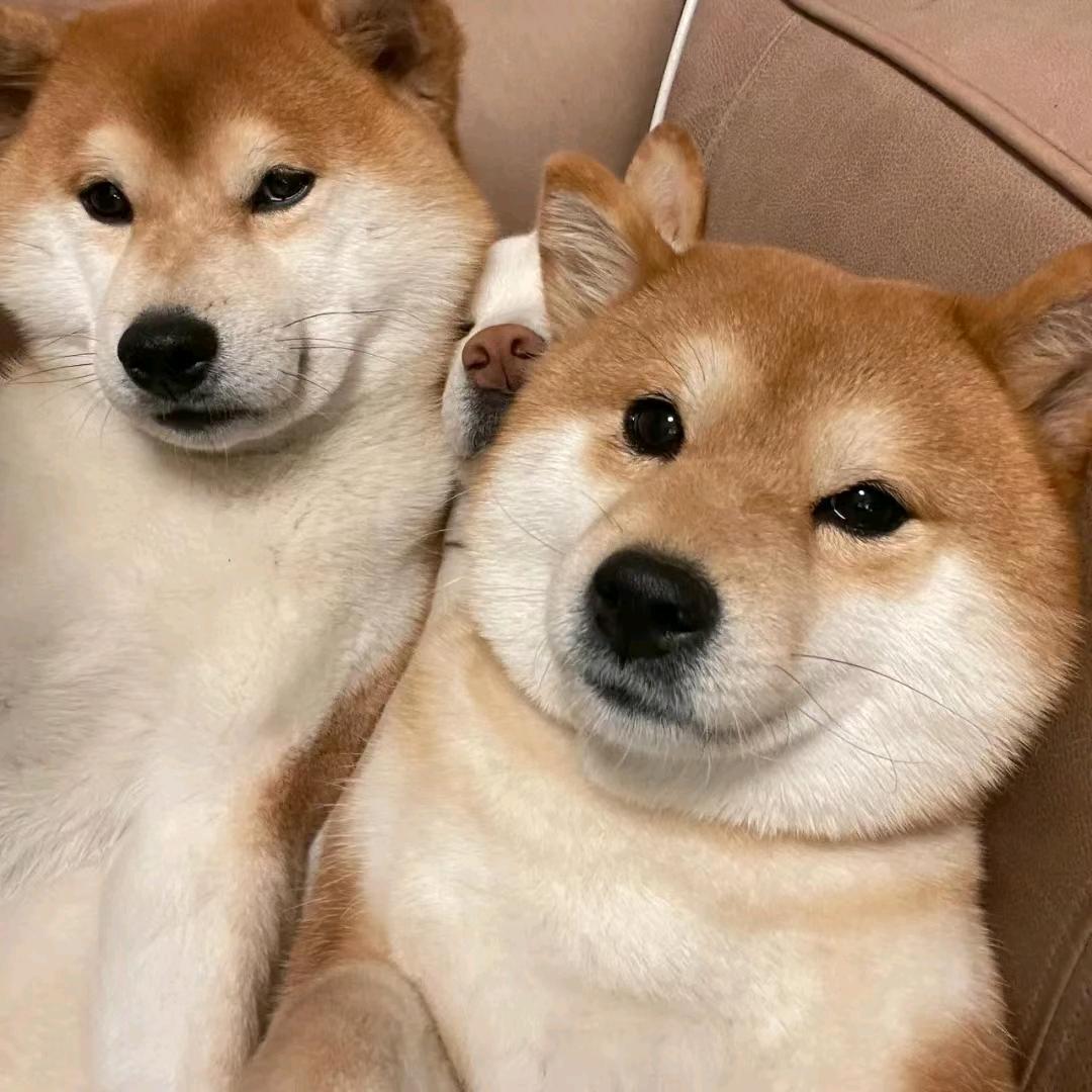 八九六十三
