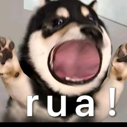 妙蛙弟（kk小园）