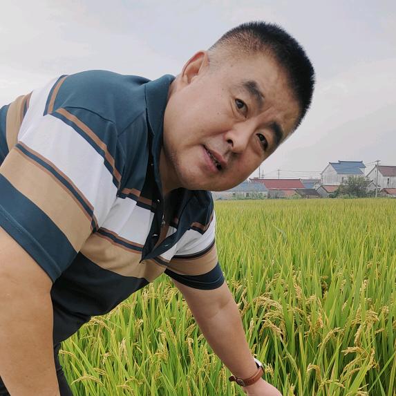 老头乐悠悠