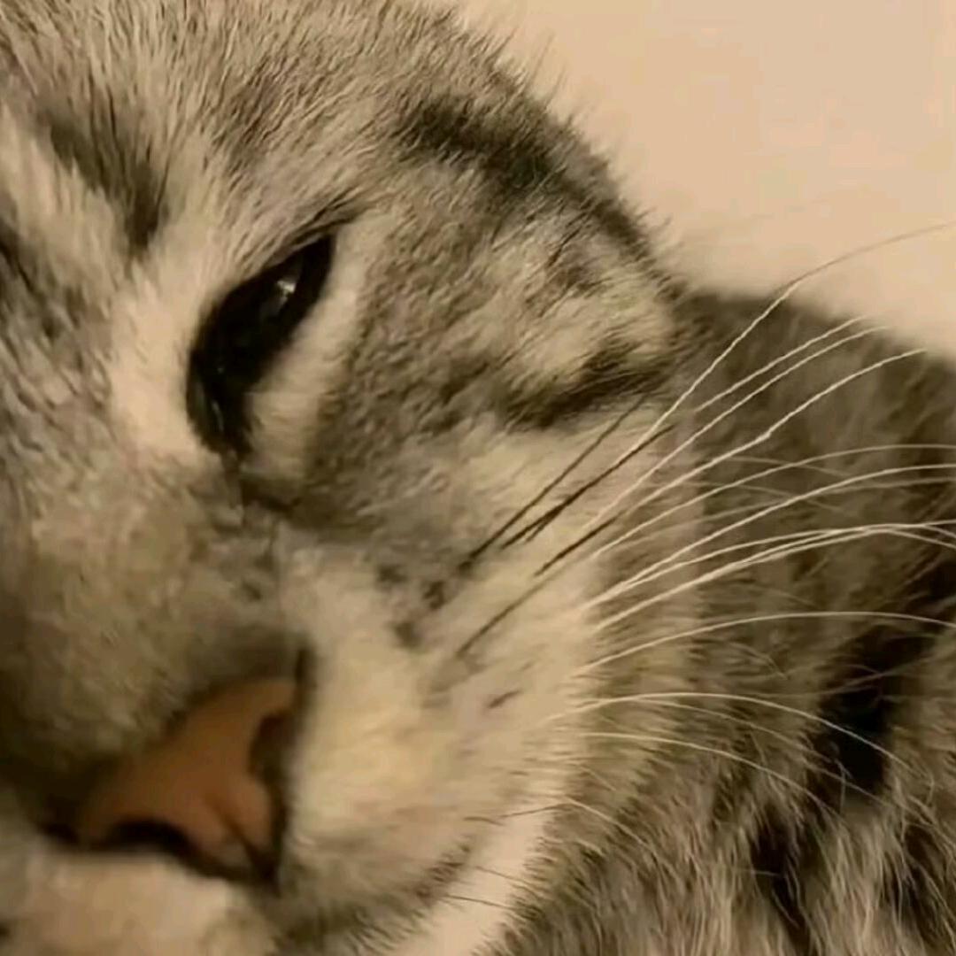 不会愿再被男人骗