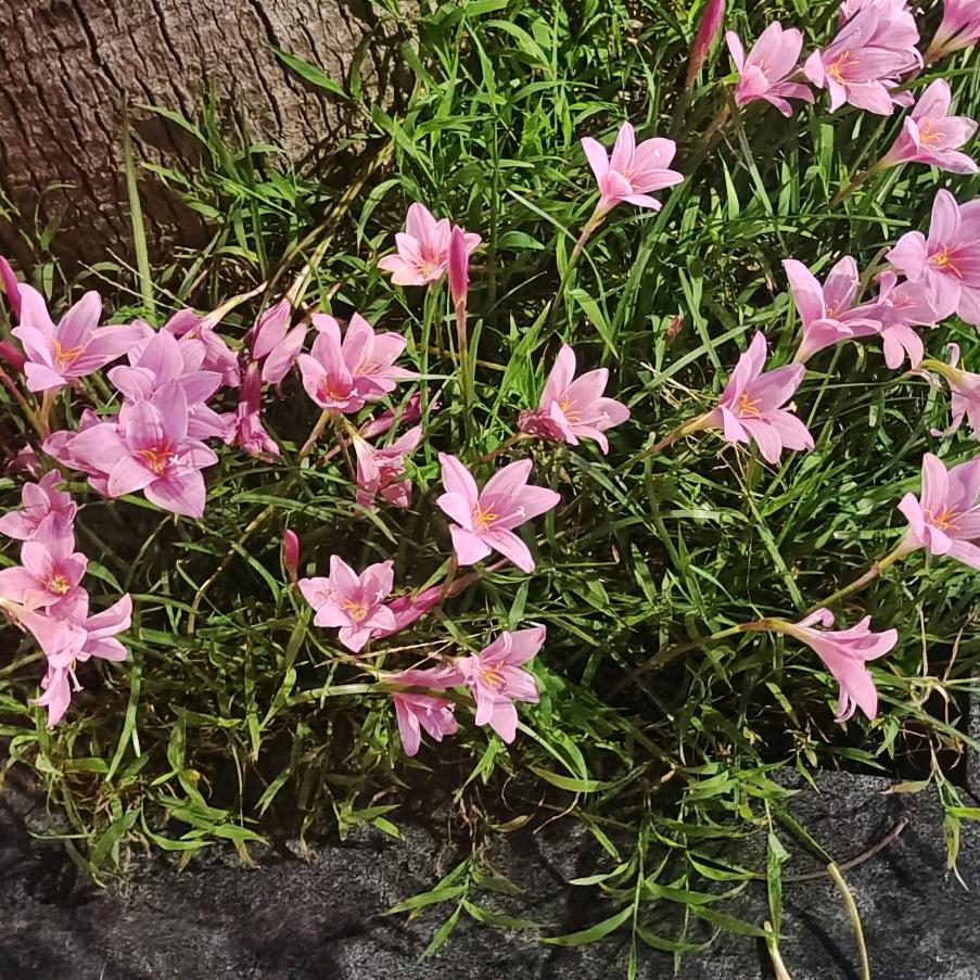群姐说好房信息咨询部
