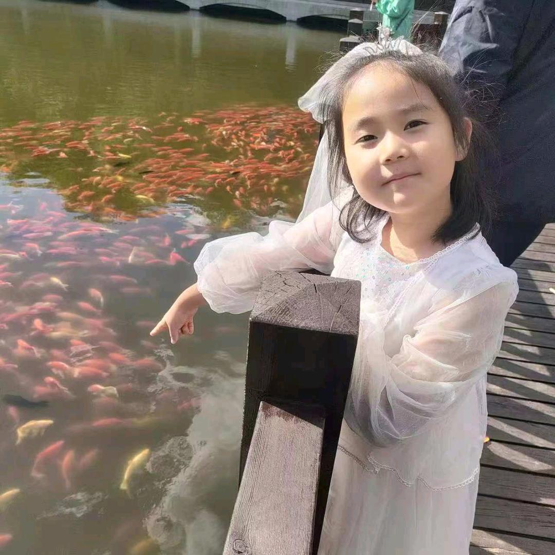 杨baby（搞钱版）