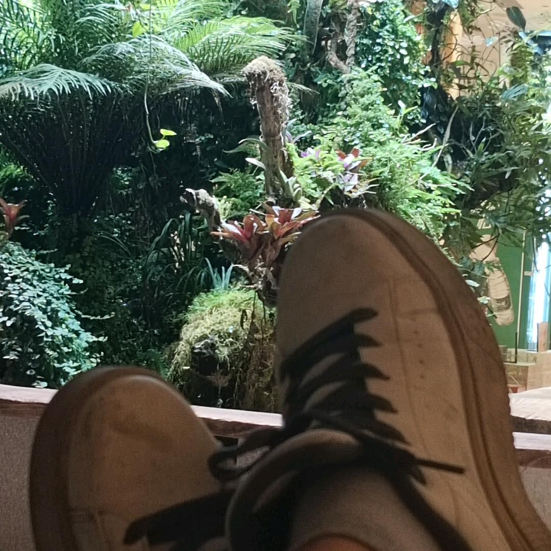 老子姓李🇨🇳