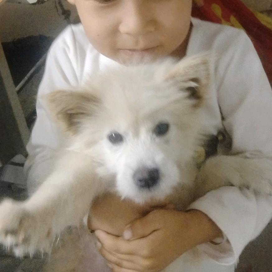 努力改变现成的生活