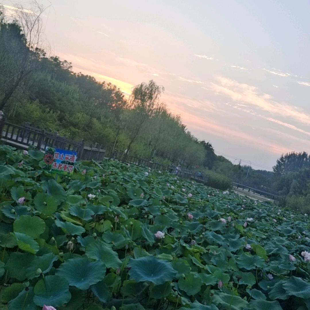 修过