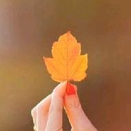 淡然一笑🌻