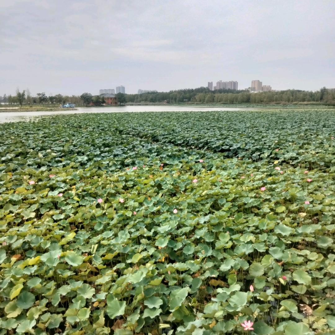 幸，福，的，生，活，