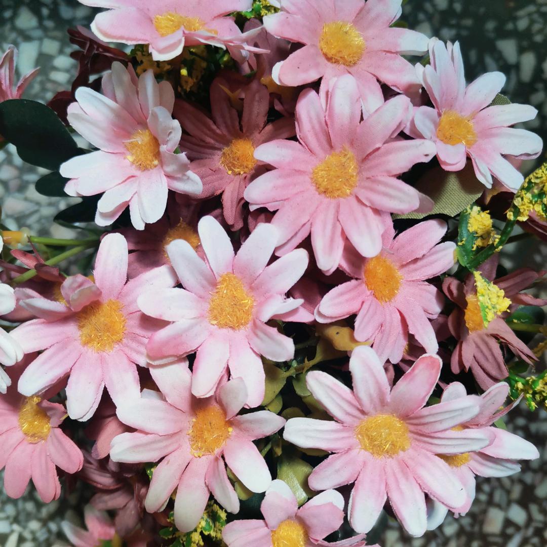 阳飞姐：（8月6日早908）首播