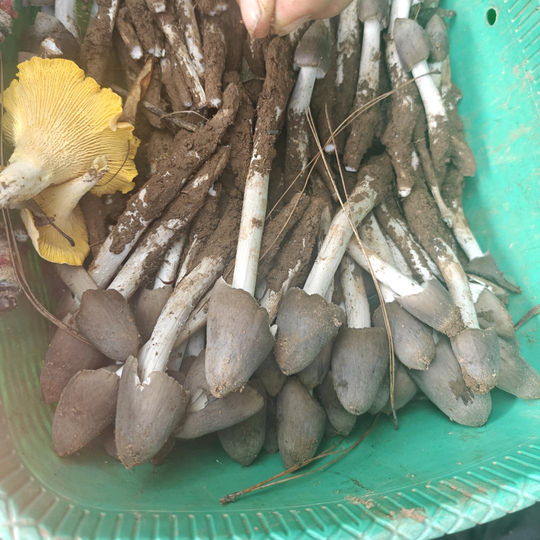 背着书包闯天下