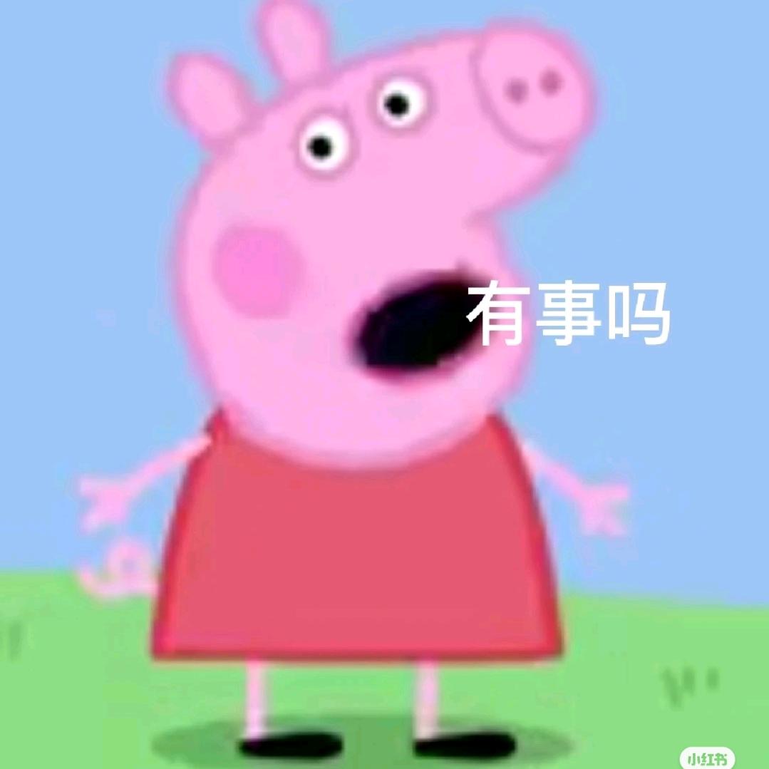 雾里观花