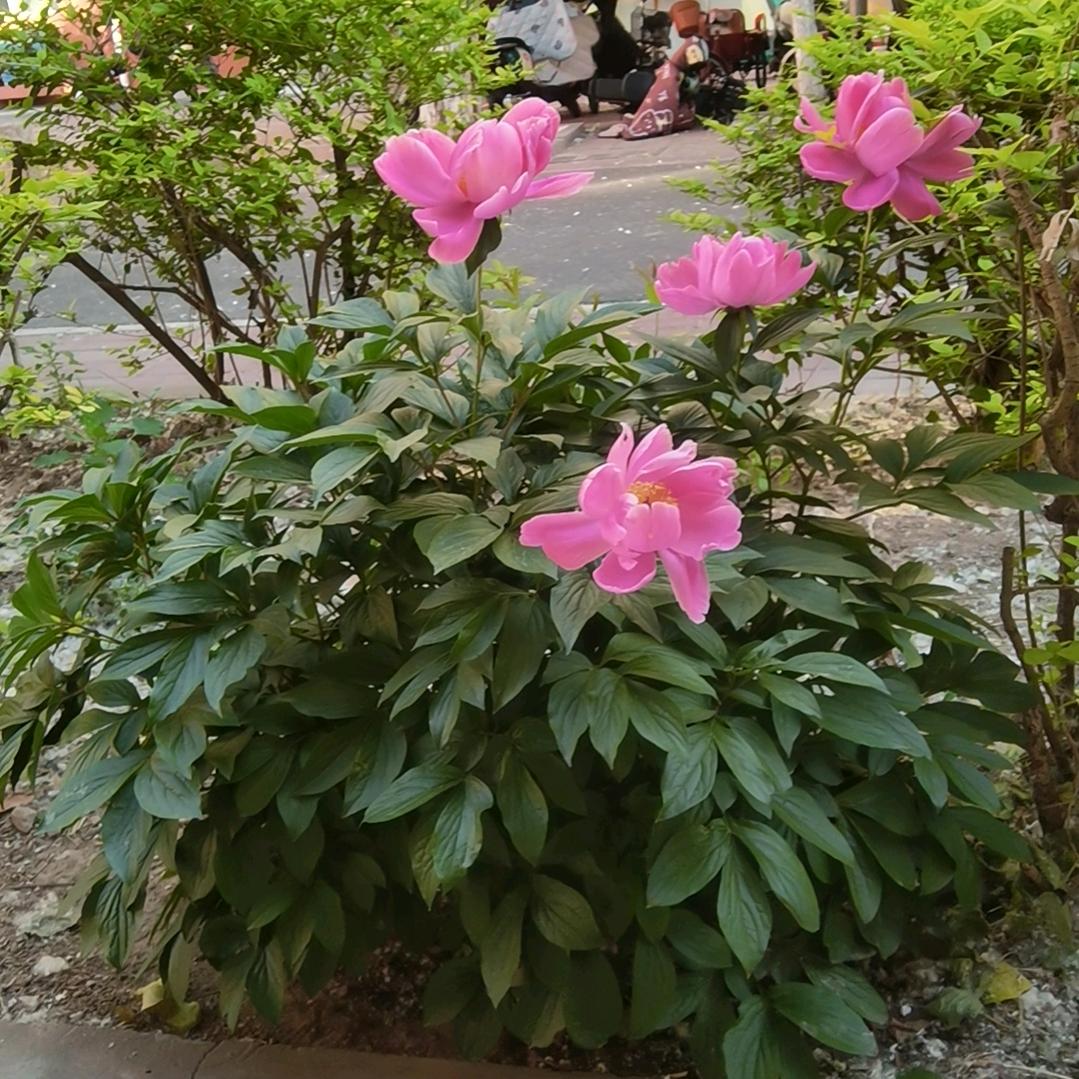 顺风顺水顺财神