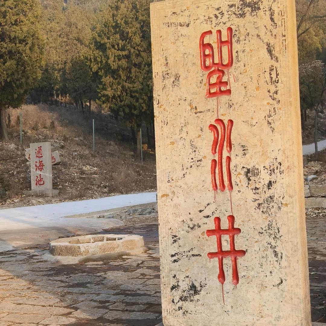 赤道旅行滴企鹅