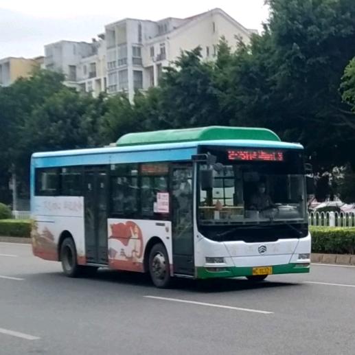 锦鸿