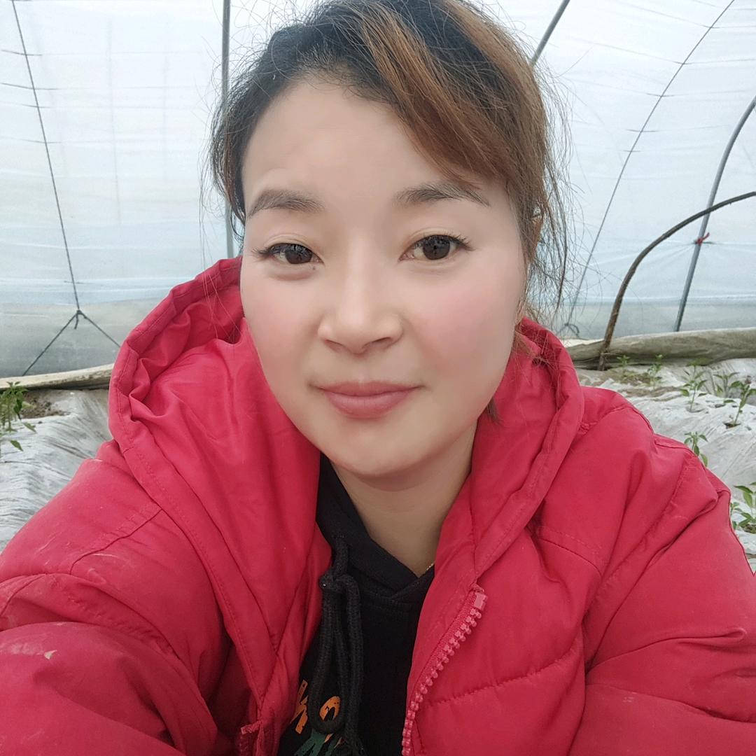 春梅姐