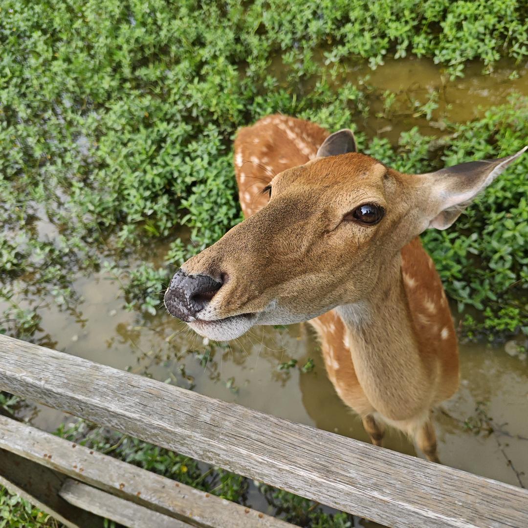 吃喝玩乐推荐官3