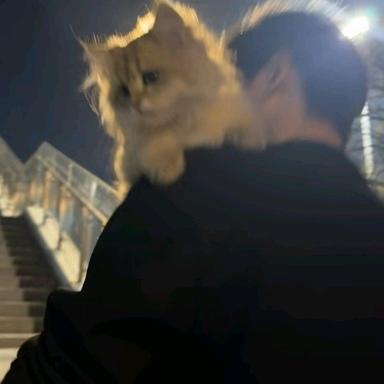 朱先生