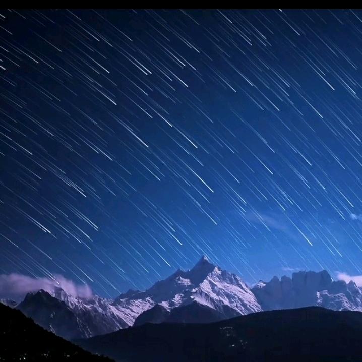 香菜守护星