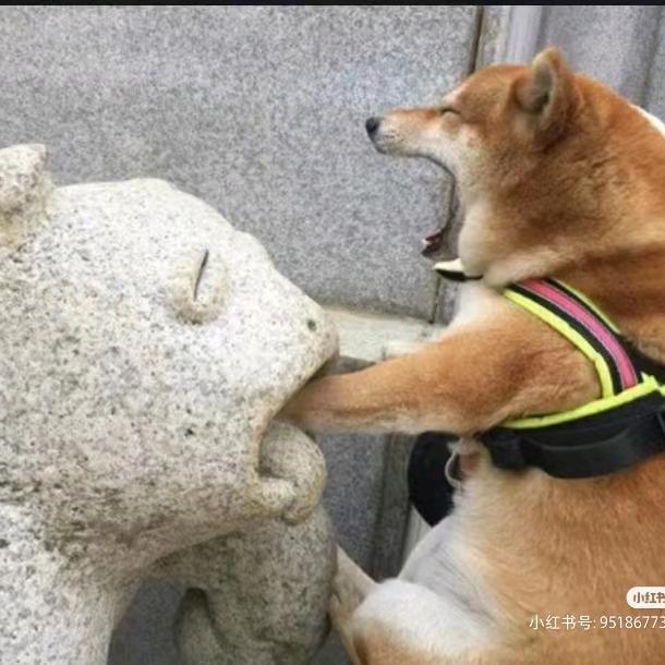 柯达照相基