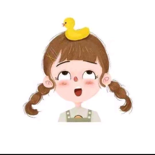 仙女美衣衣橱