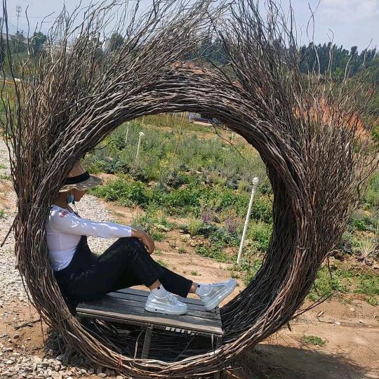 @南风知我意🍀