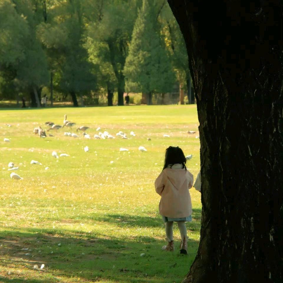 荔枝纹手工AuraCiel