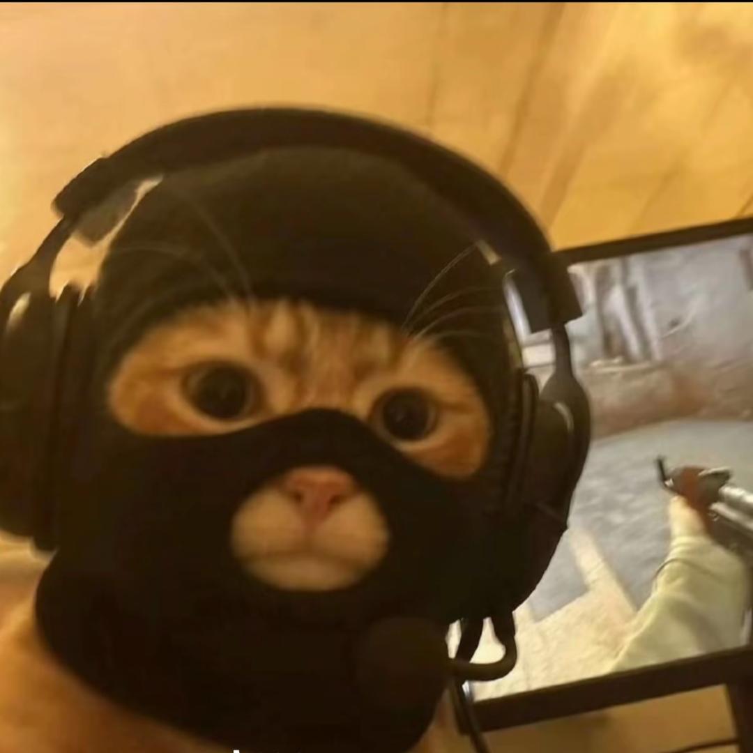 如果我是DJ.