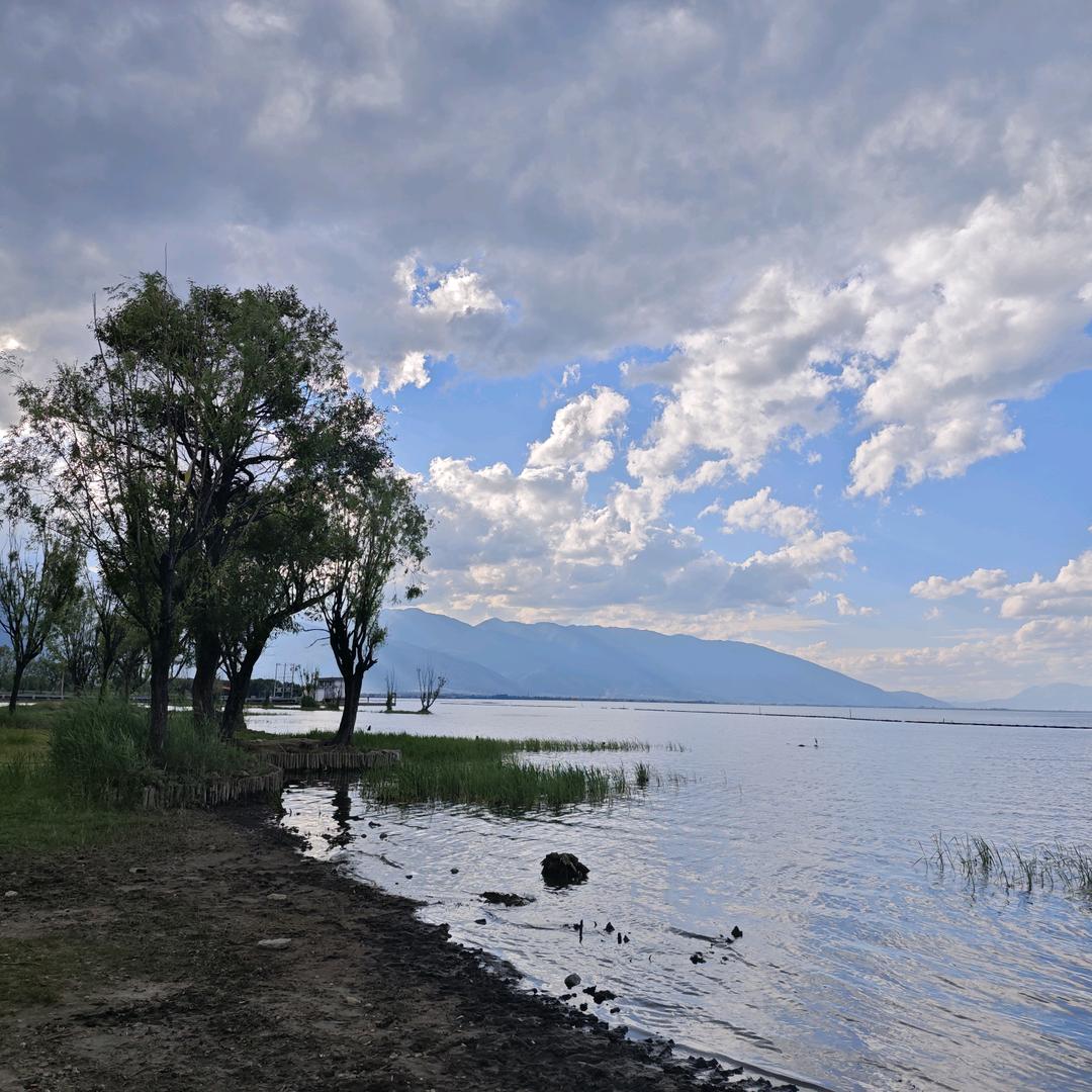 花筑·洱爽海景民宿