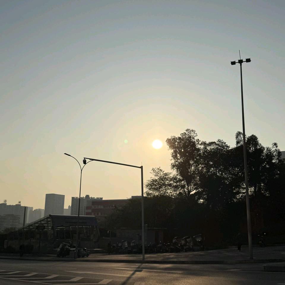 ✨缘网💫余生☪︎