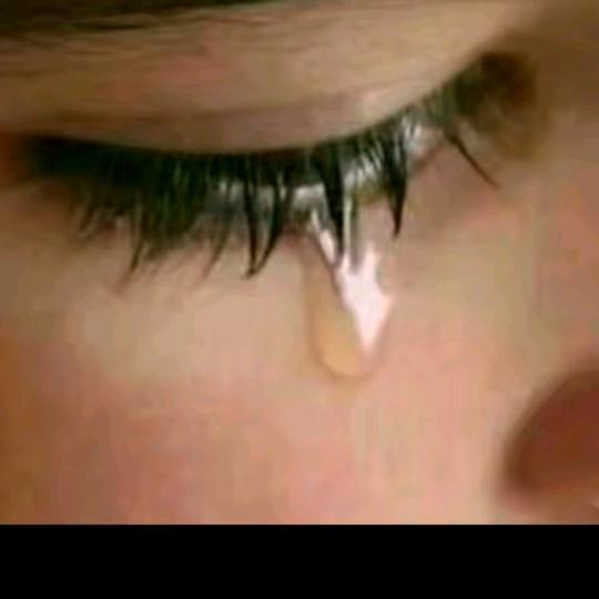 无家可归🏠🏠