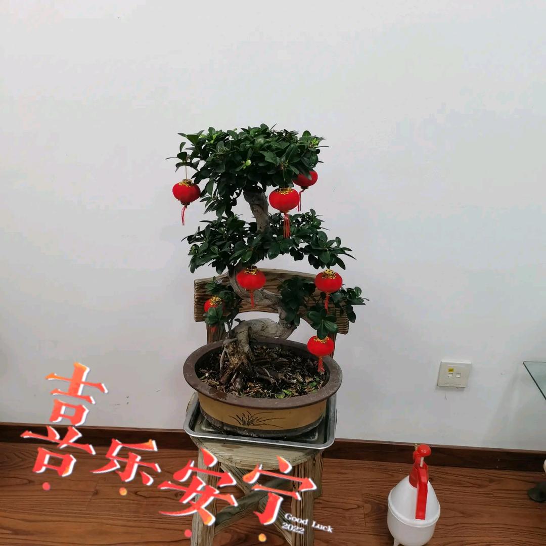 愿皆所得