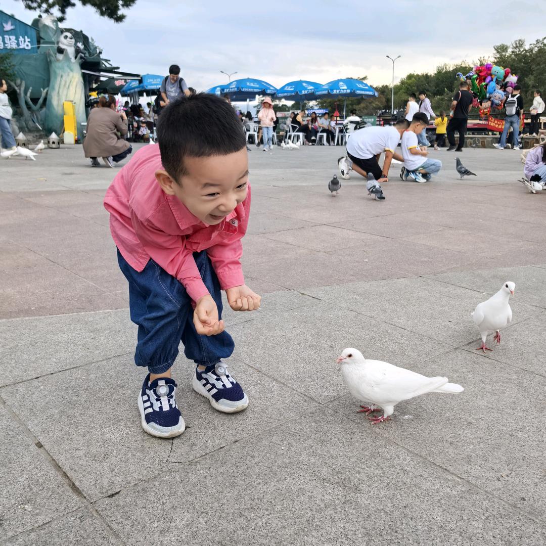 侯一鸣