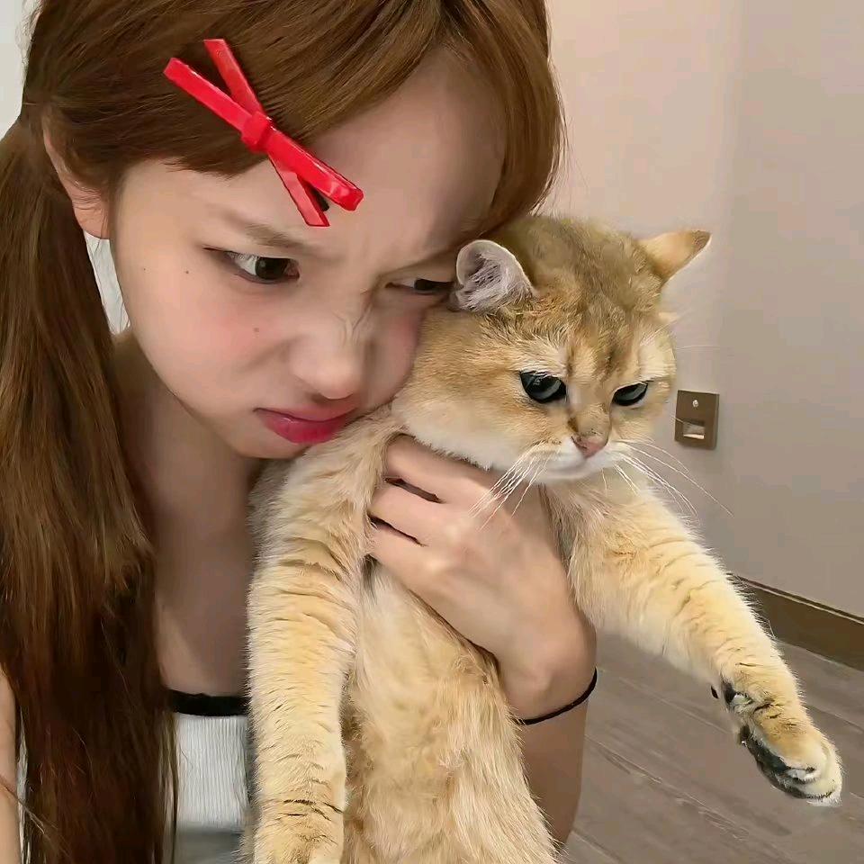我不爱吃💩